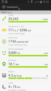 FitBit Dashboard