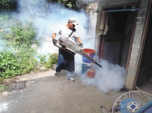 House To House Fumigation